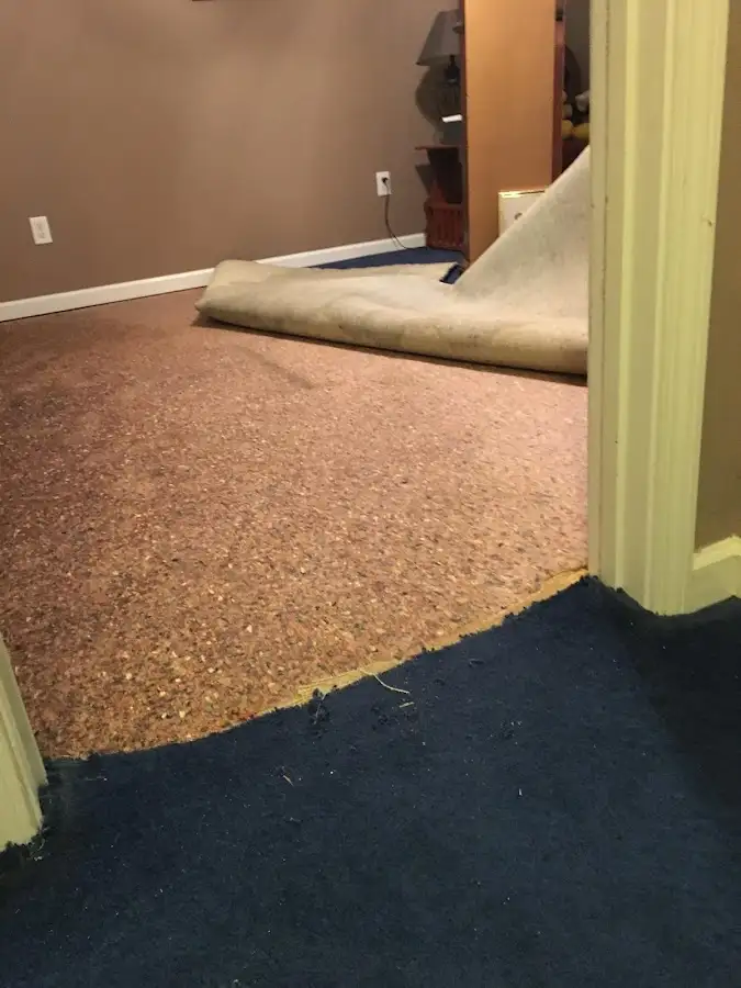 Carpet pad removal revealing water damage during Drying & Dehumidification in Hickory Hills