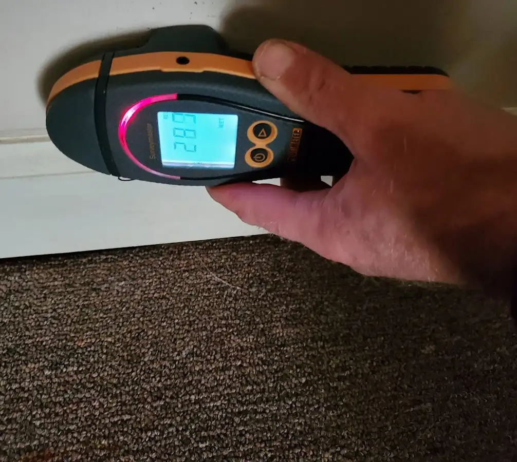Moisture detection at baseboard during Mold Inspection & Testing in Hickory Hills